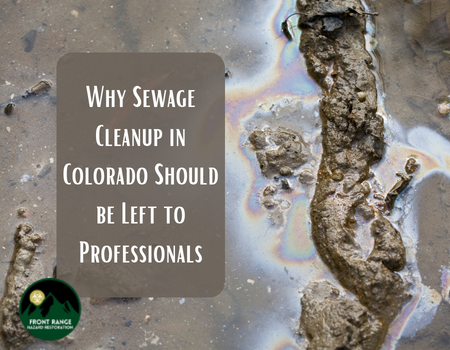 Why Sewage Cleanup in Colorado Should be Left to Professionals