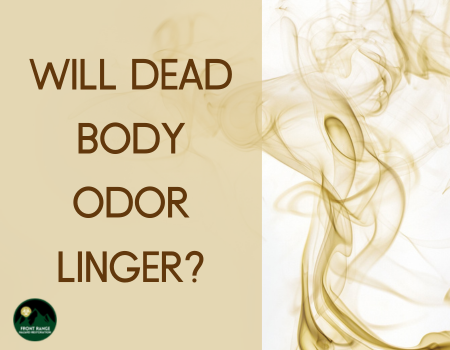 Will Dead Body Odor Linger?